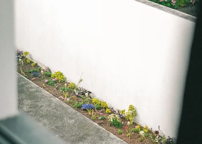 Rauls Place 아파트 *