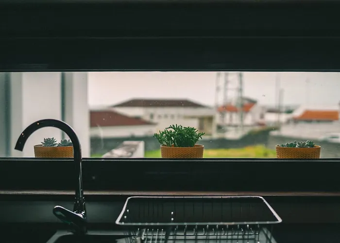 Rauls Place * 마달레나