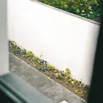 Rauls Place Apartment *