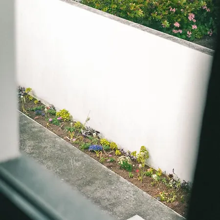 Rauls Place Apartment *